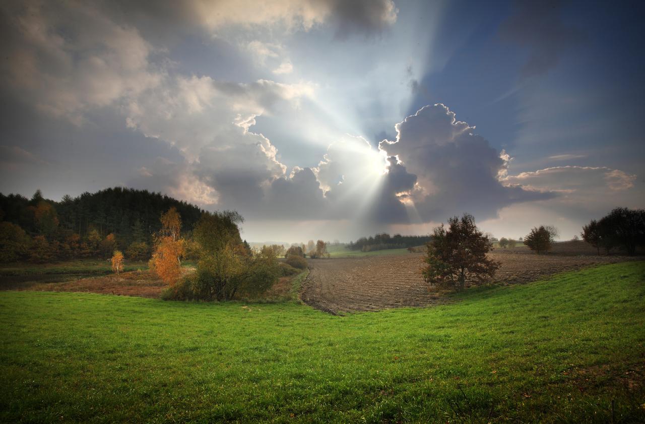 Palac I Folwark Nemino Sierakowice  المظهر الخارجي الصورة